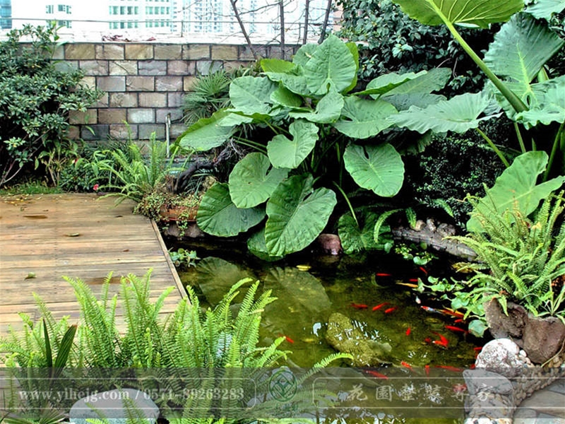 屋頂露臺(tái)花園